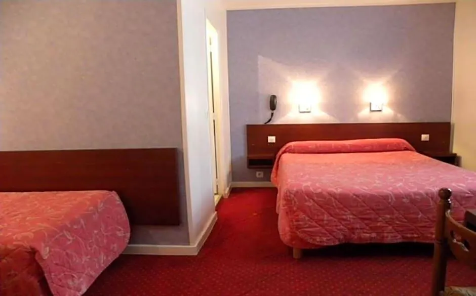 Camelia International-1