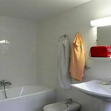 Camelia International-3